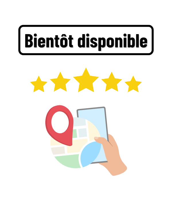 Avis Google